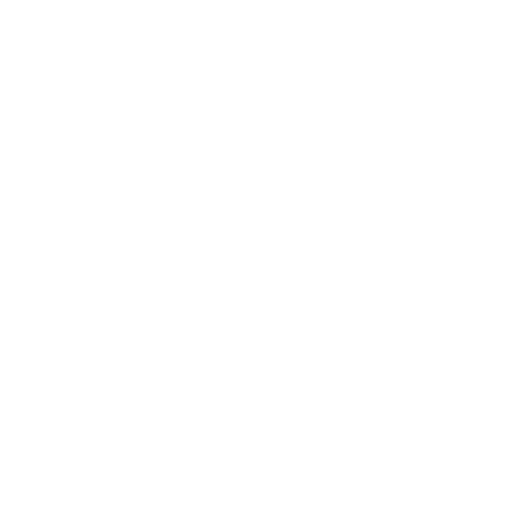 Solid Cargo GmbH - Internationalen Handel - Instagram-Symbol